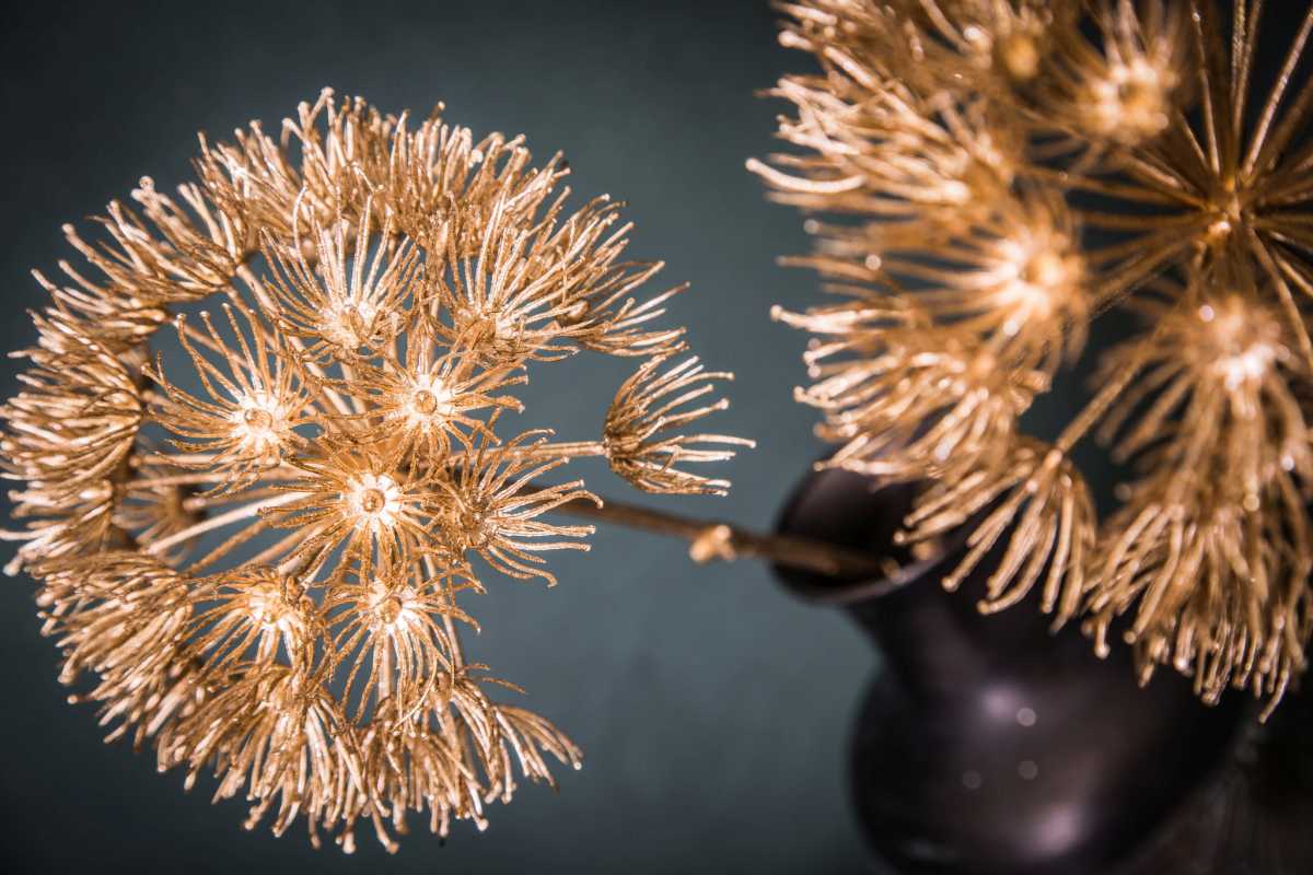 PTMD Twig Plant Allium Kunsttak - 15 x 15 x 72 cm - Goud