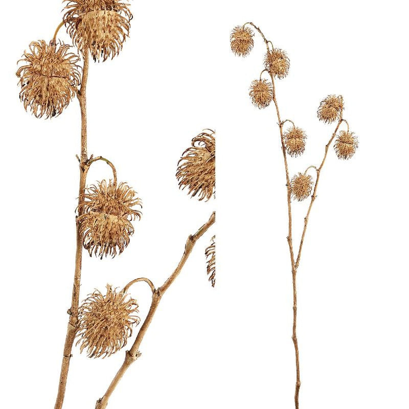 PTMD Twig Plant Kastanje Kunsttak - 50 x 40,5 x 96,5 cm - Bruin
