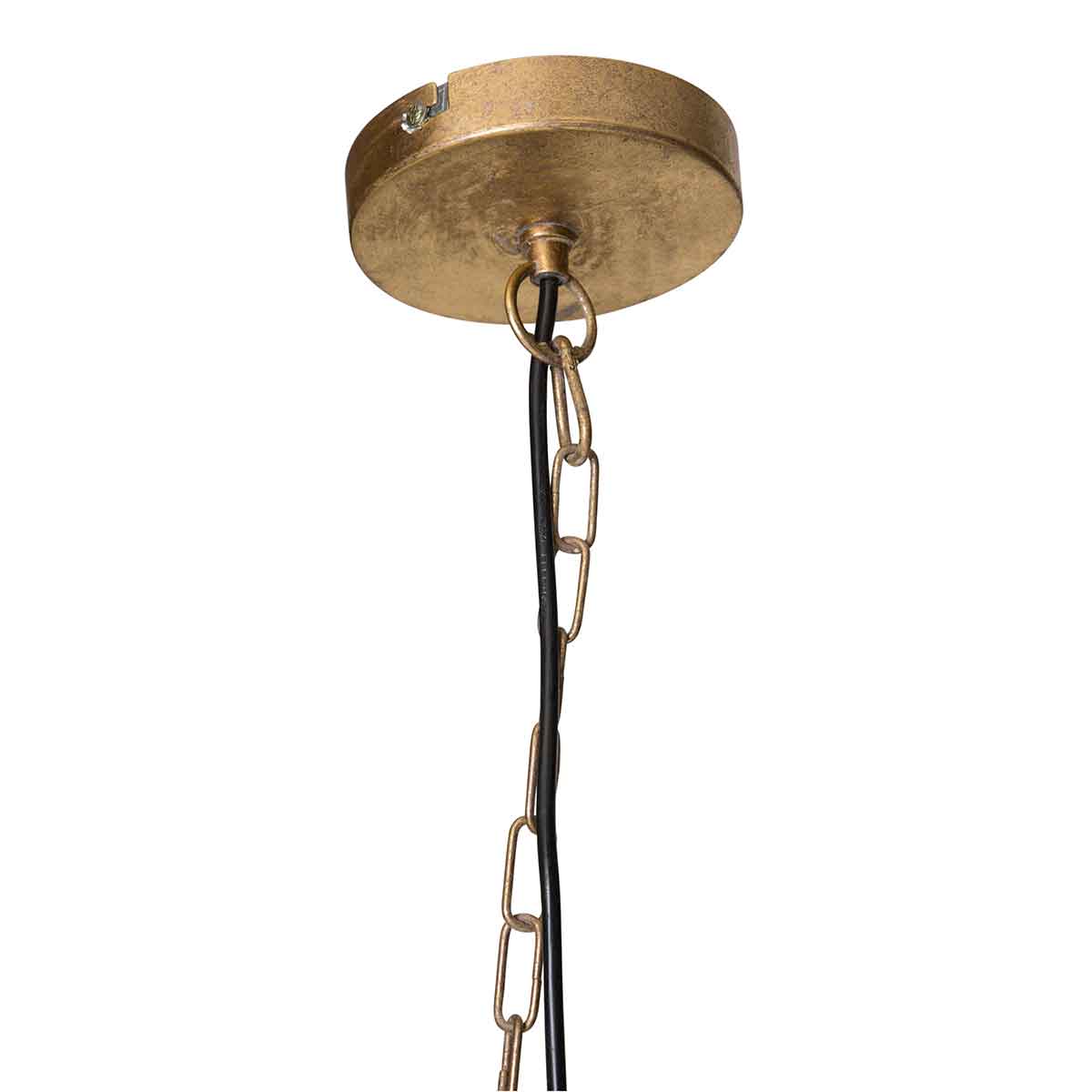 PTMD Mea Ronde Hanglamp Palm Bladeren - H90 x Ø70 cm - Metaal - Goud