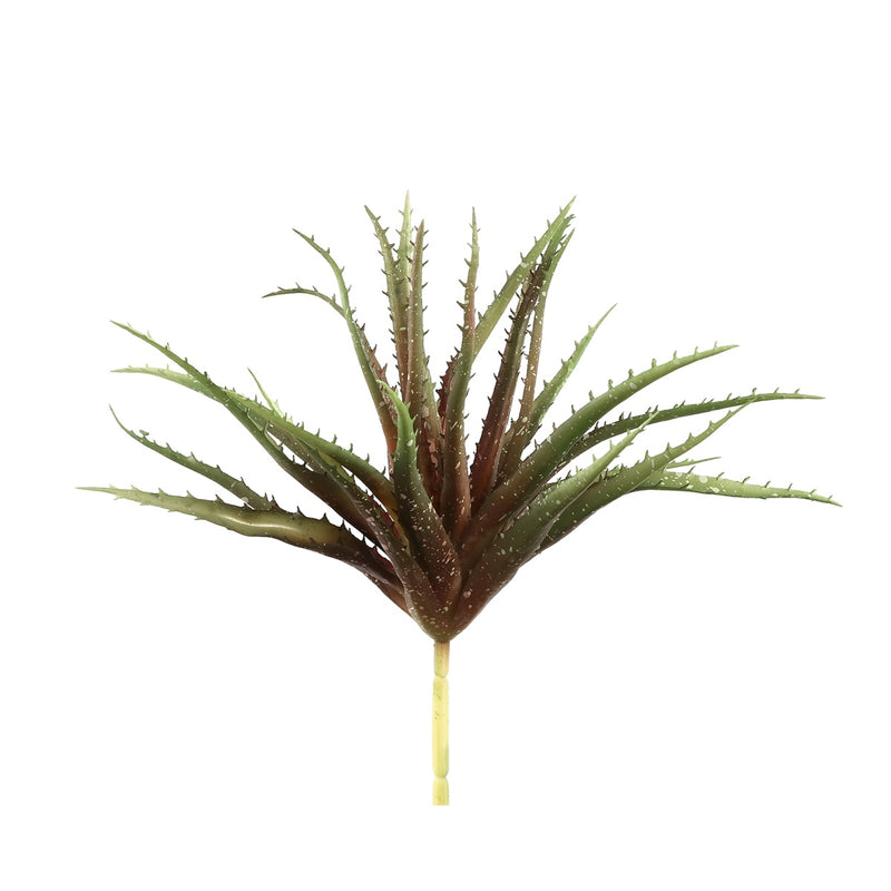 PTMD Succulent Plant Aloe Vera Prikker - 19 x 23 x 26 cm - Rood/Groen