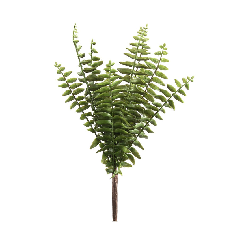 PTMD Fern Plant Varen Prikker -26 x 24 x 35 cm - Groen