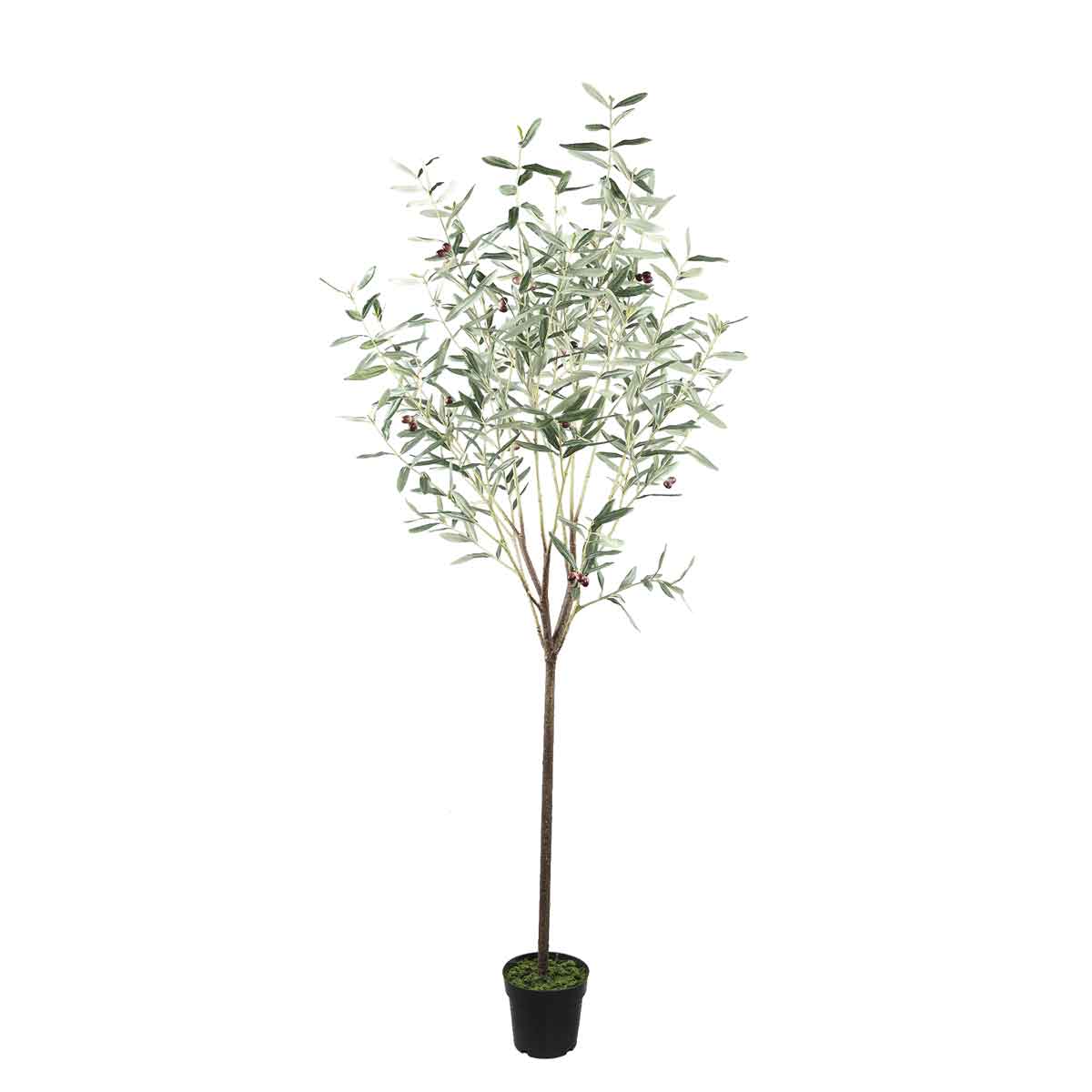 PTMD Tree Green Olijfboom Kunstplant - H185xØ30 cm - Pot - Groen