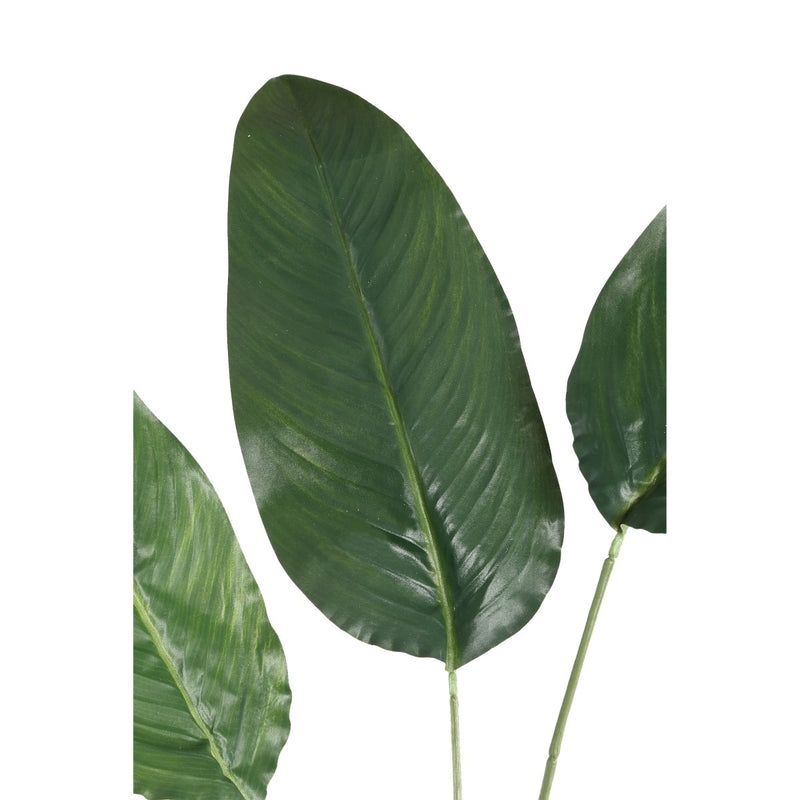 PTMD Leaves Plant Paradijsvogel Blad Kunsttak - 97x38x138 cm - Groen