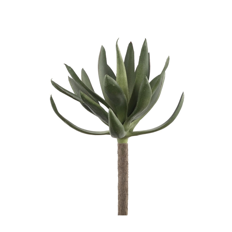 PTMD Succulent Plant Agave Prikker - 13 x 18 x 22 cm - Groen