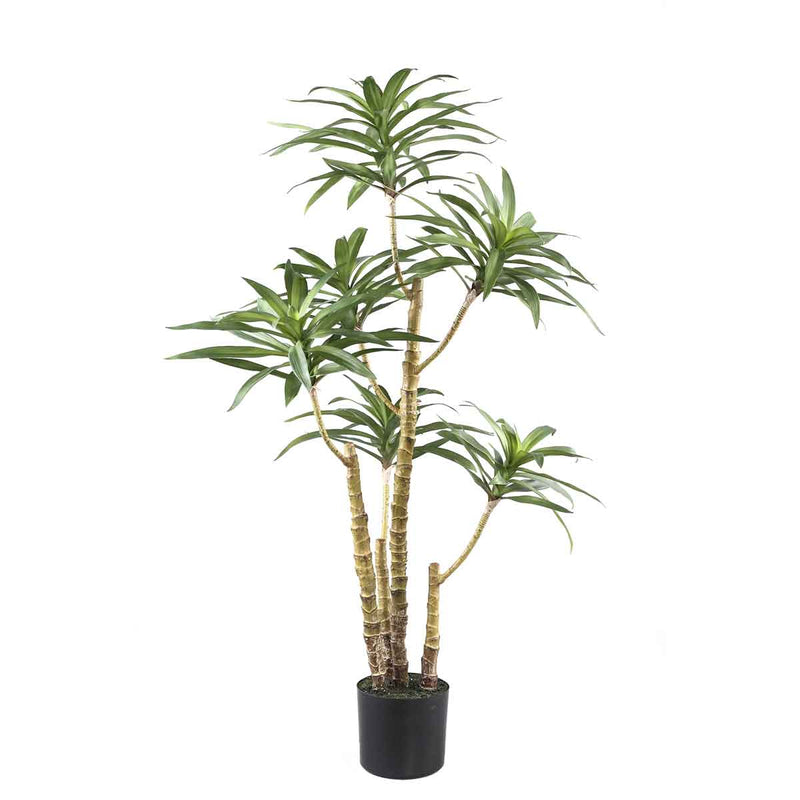 PTMD Tree Green Dieffenbachia Kunstplant - 87x36x122 cm - Pot - Groen