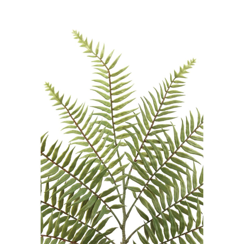 PTMD Leaves Plant Boston Varen Kunsttak - 39 x 49 x 64 cm - Groen