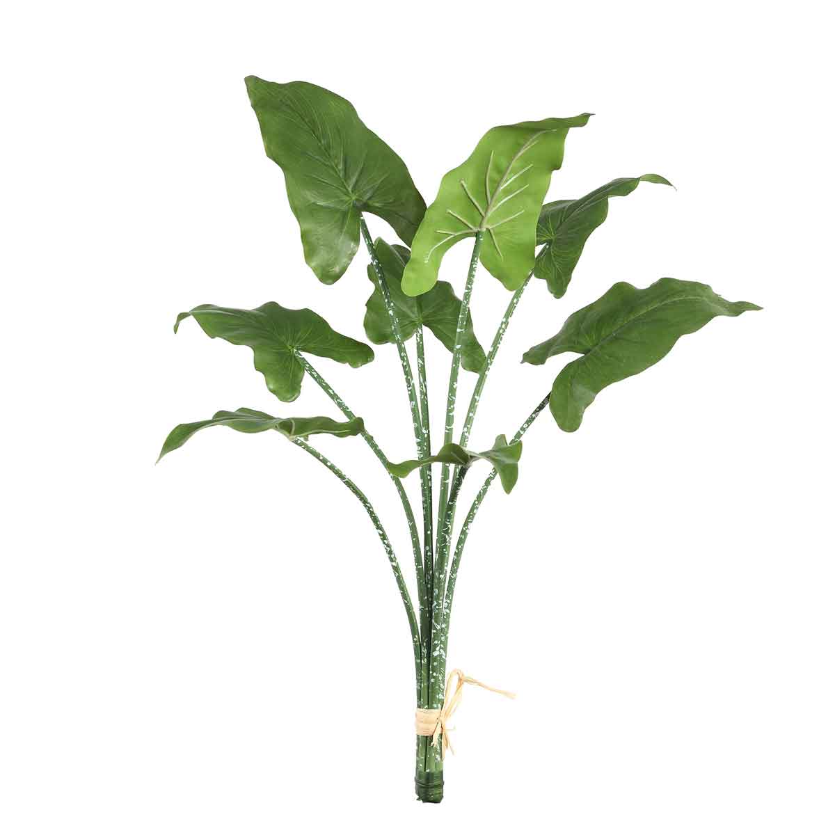 PTMD Aronskelk Blad Kunstplant - 56 x 33 x 66 cm - Groen/wit
