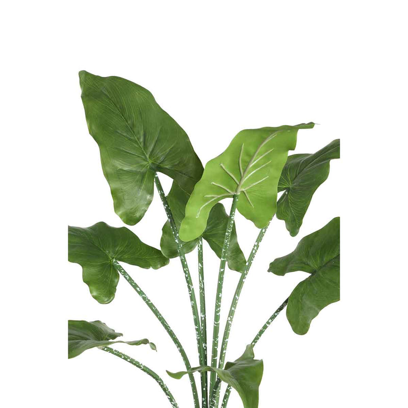PTMD Aronskelk Blad Kunstplant - 56 x 33 x 66 cm - Groen/wit
