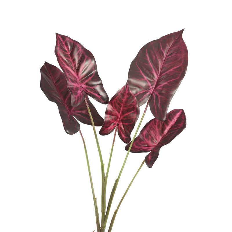 PTMD Leaves Plant Caladium Bos Kunsttak - 44x31x53 cm - Bordeauxrood