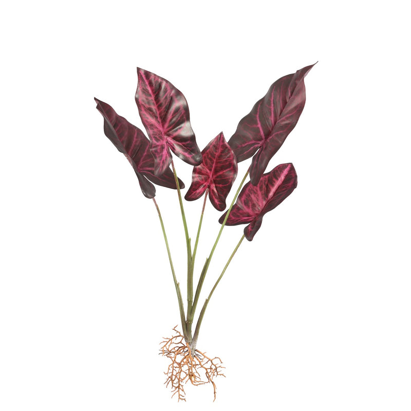 PTMD Leaves Plant Caladium Bos Kunsttak - 44x31x53 cm - Bordeauxrood