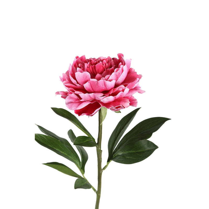 PTMD Peony Flower Pioenroos Prikker - 25 x 18 x 66 cm - Donkerroze