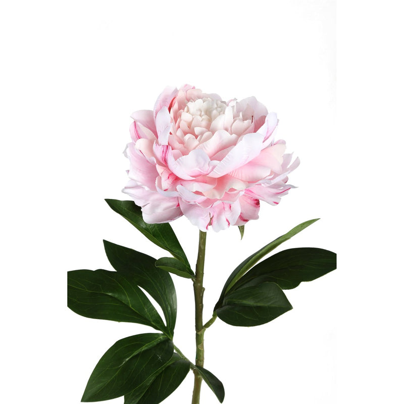 PTMD Peony Flower Pioenroos Prikker - 25 x 18 x 66 cm - Lichtroze