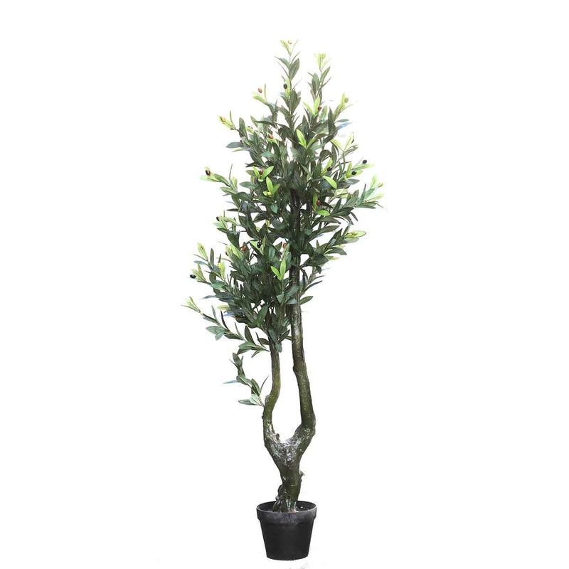 PTMD Tree Green Olijfboom Kunstplant - 64x46x147 cm - Pot - Groen