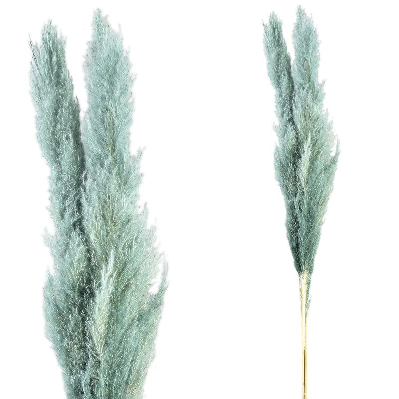 PTMD Dried Twig Pampas Gras - 65x7x110 cm - 3 stuks - Pacific Blauw