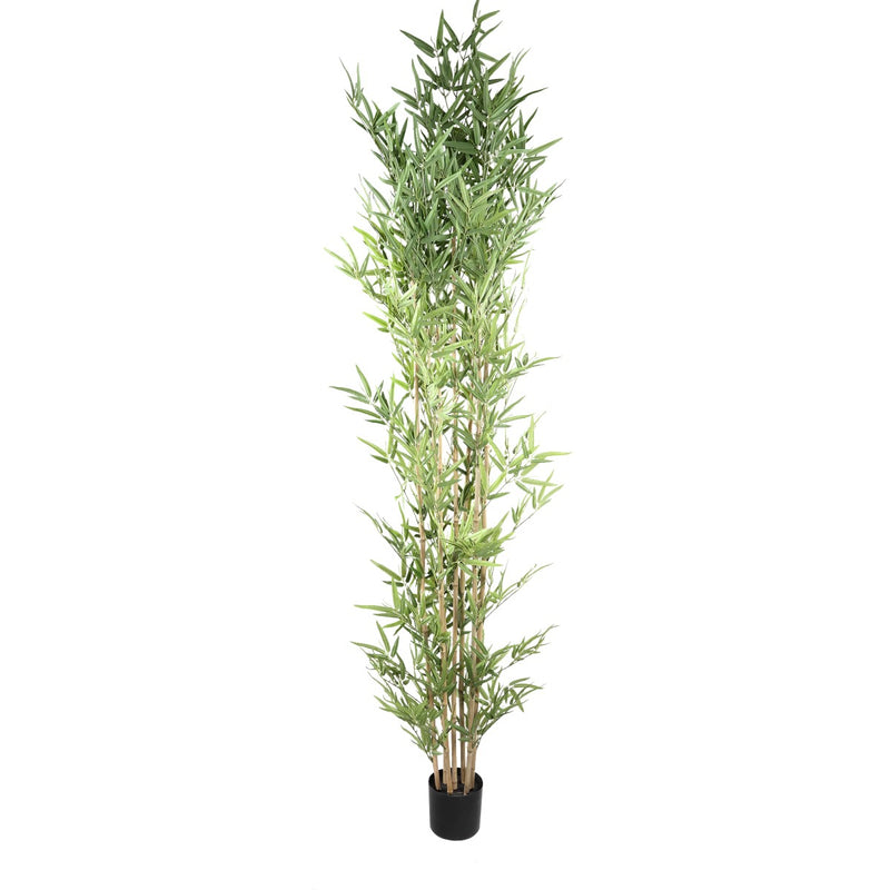 PTMD Leaves Plant Bamboe Kunstplant - 225x80x240 cm - Pot - Groen