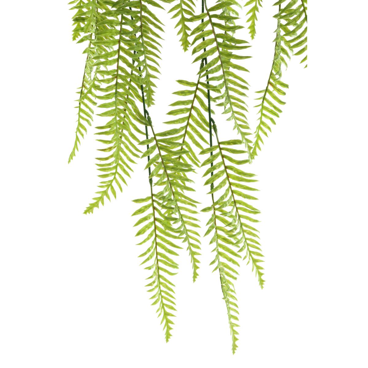 PTMD Varen Kunsttak - 97 x 32 x 105 cm - Groen