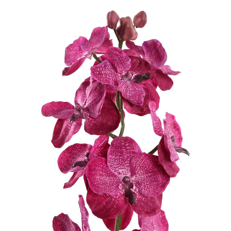 PTMD Orchidee Kunstbloem - 78 x 17 x 79 cm  - Kunststof - Paars