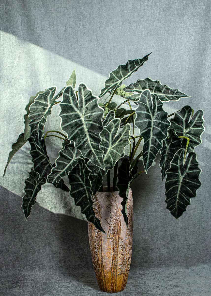 PTMD Alocasie Kunsttak - 119 x 34 x 118 cm  - Kunststof - Groen