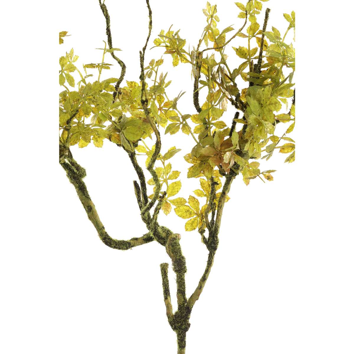 PTMD Ster Kunsttak - 60 x 30 x 90 cm- Groen