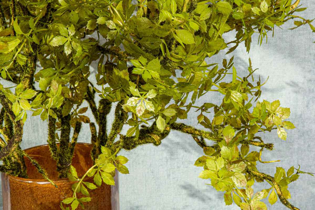 PTMD Ster Kunsttak - 60 x 30 x 90 cm- Groen