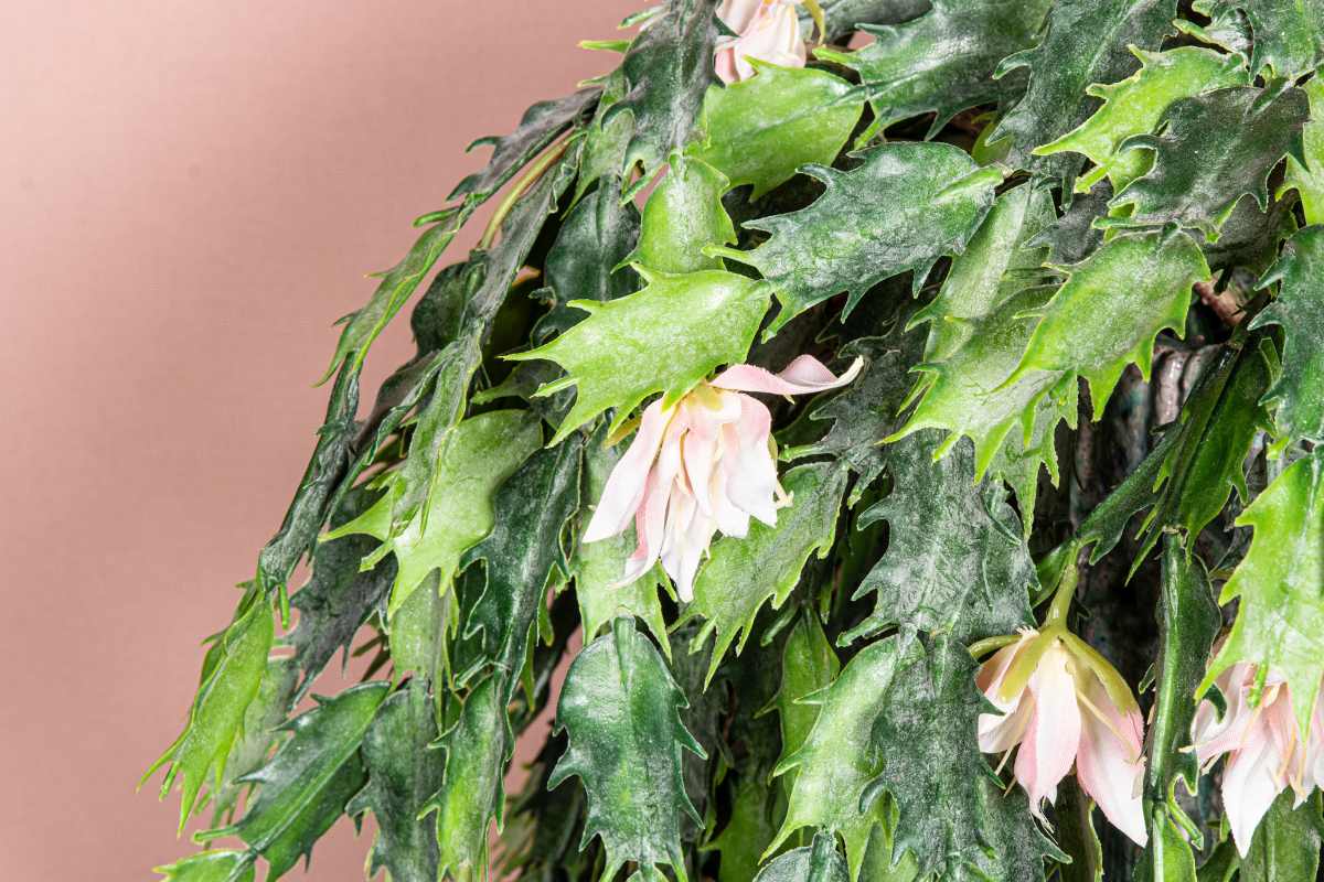 PTMD Cactus Kunsttak Hangend - 90 x 34 x 105 cm - Groen