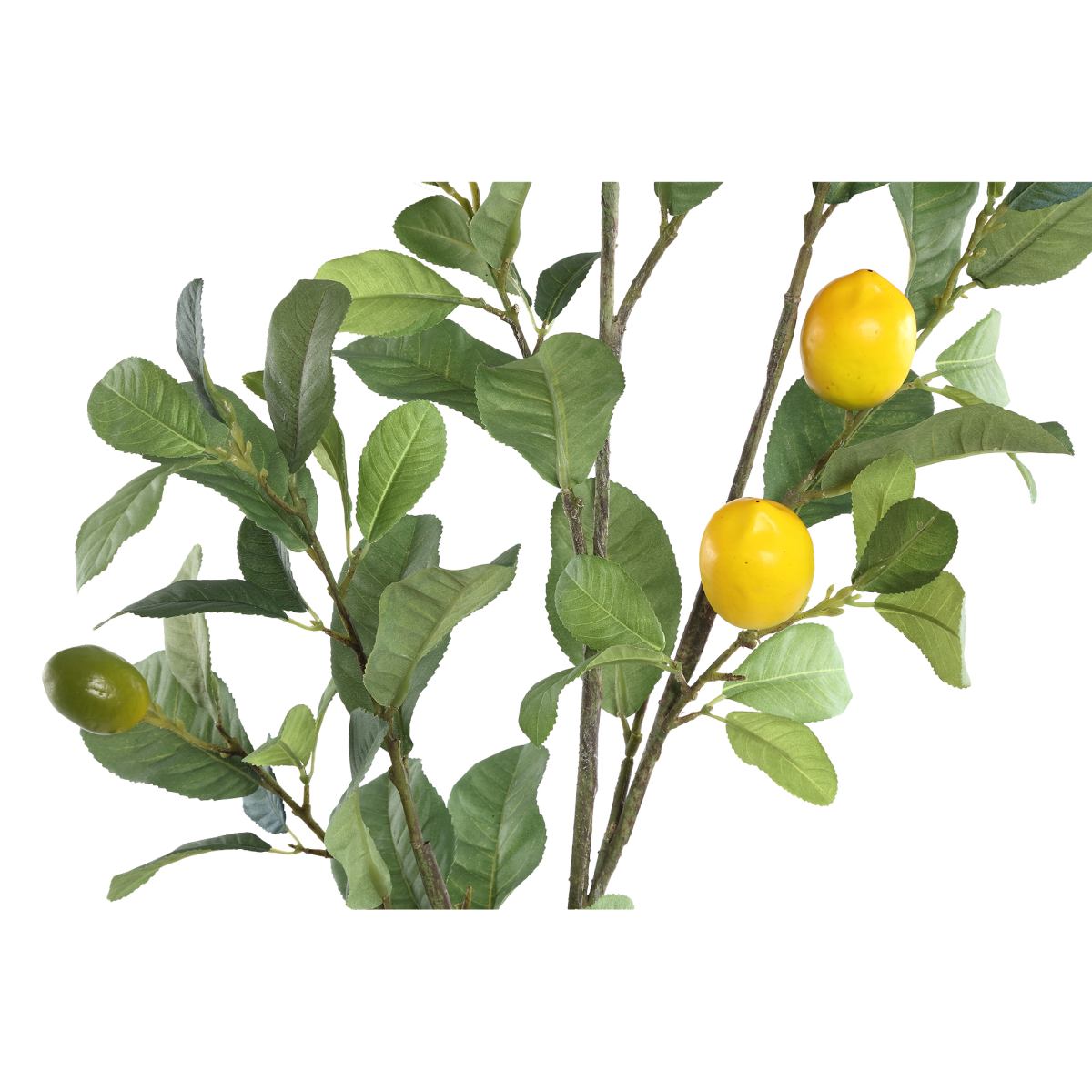 PTMD Citroen Kunsttak - 75 x 42 x 140 cm - Groen