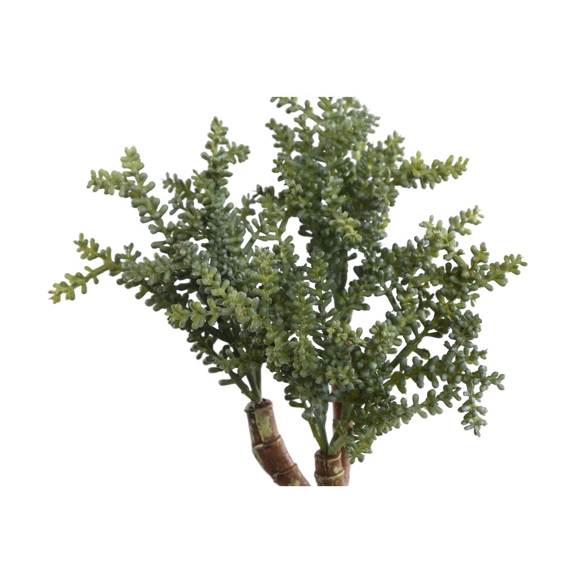 PTMD Sedum Kunsttak - 19 x 18 x 28 cm - Groen