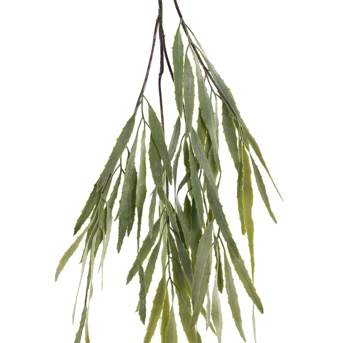 PTMD Eucalyptus Kunsttak - 74 x 42 x 102 cm - Groen