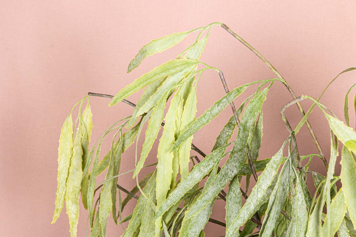 PTMD Eucalyptus Kunsttak - 74 x 42 x 102 cm - Groen