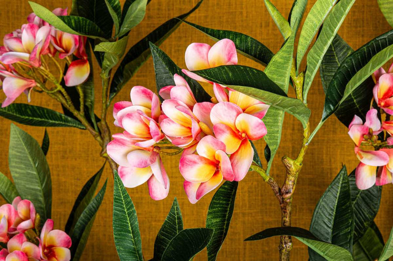 PTMD Plumeria Kunstbloem - 72 x 25 x 110 cm  - Kunststof - Roze