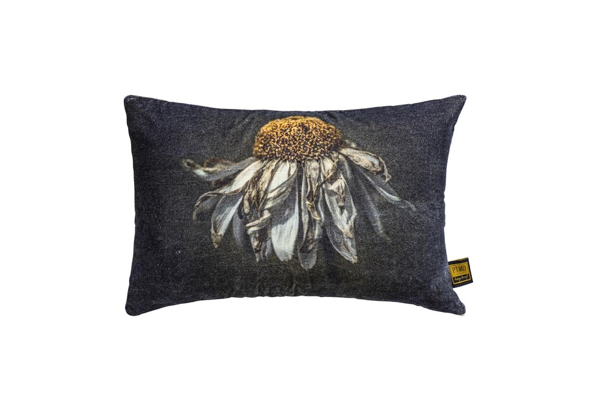 PTMD Hava Sierkussen - 40 x 10 x 60 cm - Fluweel - Zwart