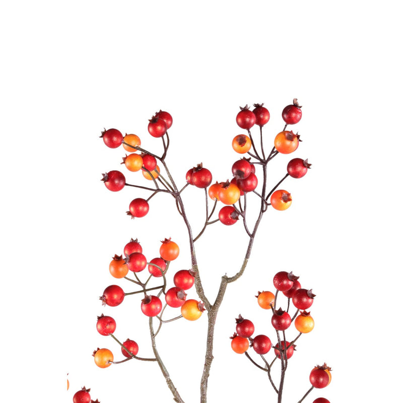 PTMD Berry Kunstplant - 48x26x80 cm - PE - Rood
