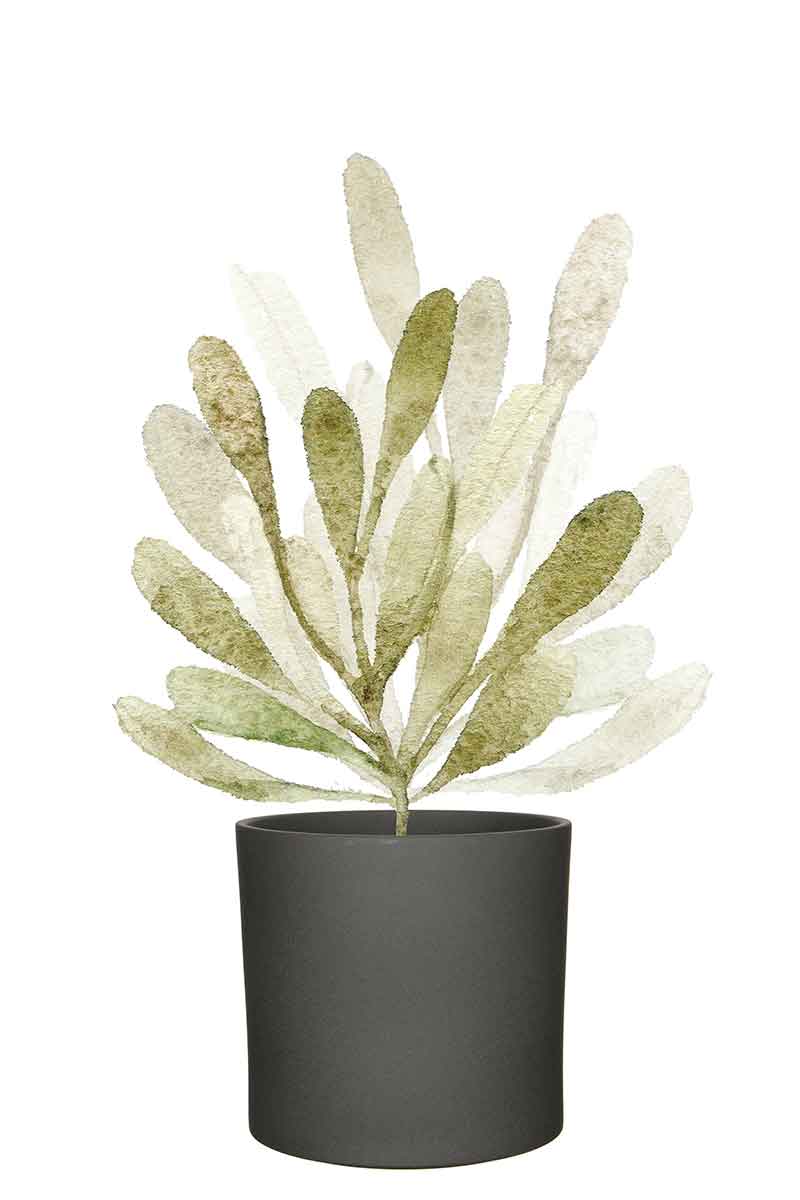 Mica Decorations Era Bloempot - 26x28 cm - Keramiek - Grijs - 4 Stuks