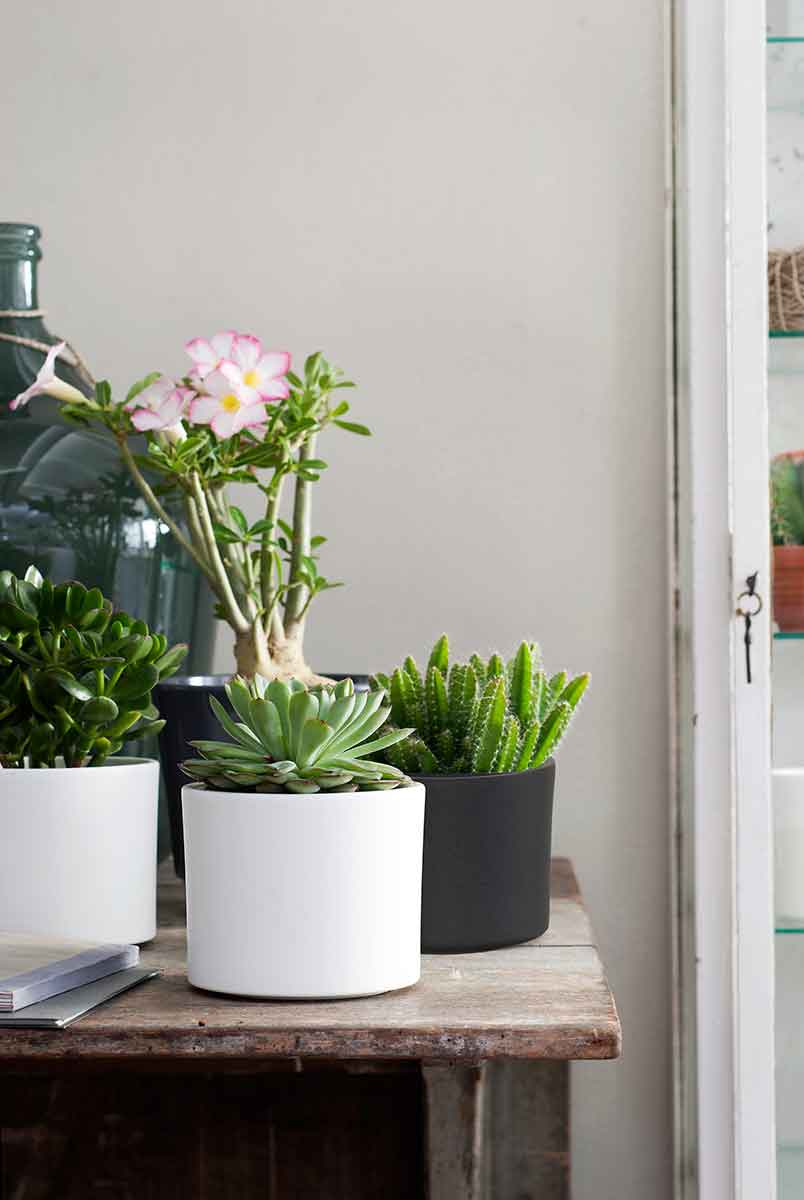 Mica Decorations Era Bloempot - H26 x Ø28 cm - Keramiek - Grijs