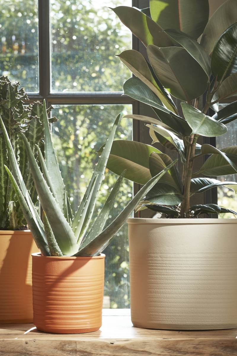Mica Decorations Momo Bloempot - 32x32x29 cm - Terracotta - Taupe