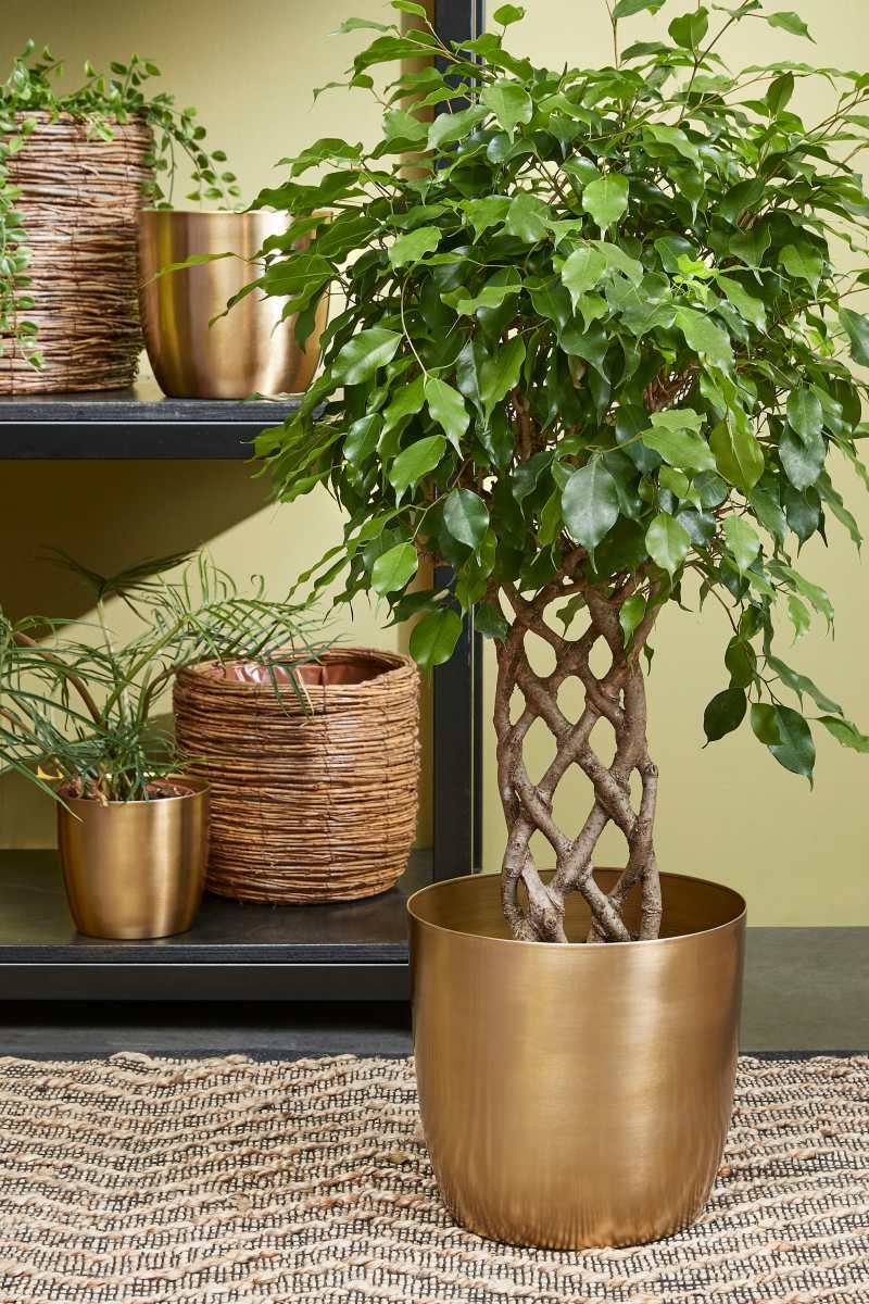 Mica Decorations Alano Bloempot - 28x28x26.9 cm - Ijzer - Goud