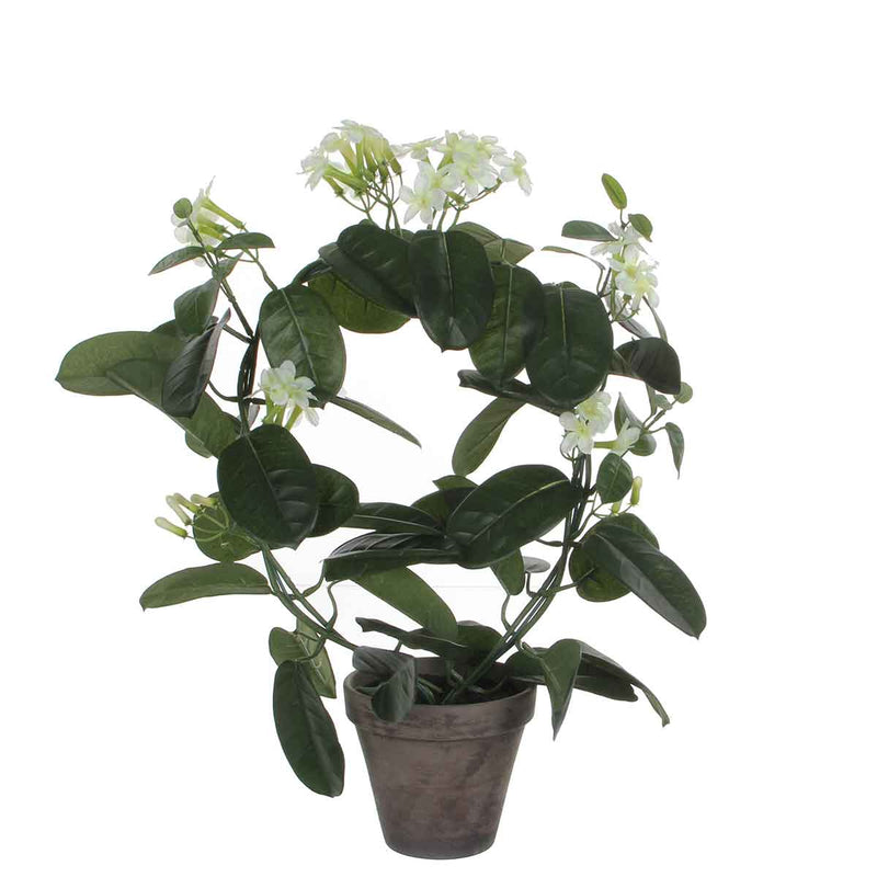 Mica Decorations Stephanotis Kunstplant - H50 x Ø40 cm - Terracotta