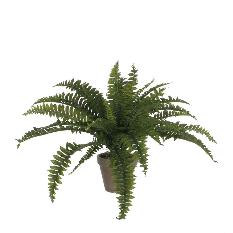 Mica Decorations Varen Kunstplant - H45xØ70 cm - Terra pot - Groen