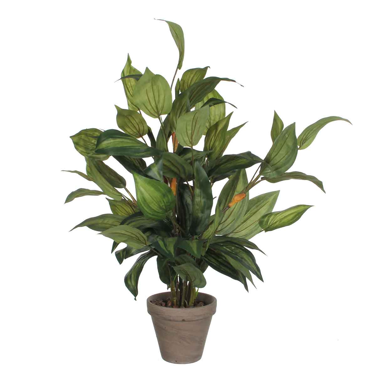 Mica Decorations Hosta Kunstplant - H65xØ40 cm - Terra pot - Groen