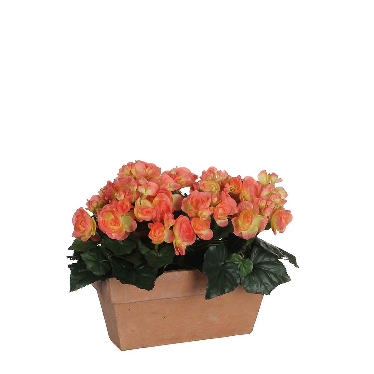 Mica Decorations begonia zalm in balkonbak slate terra - 29x13x25