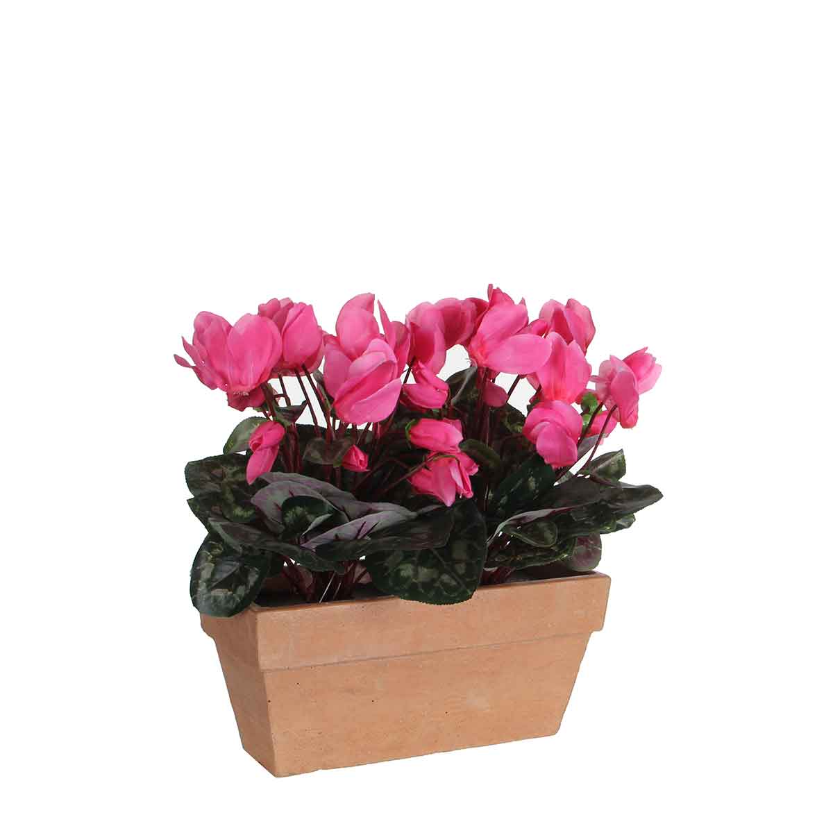 Mica Decorations cyclaam roze in balkonbak slate terra - 29x13x33