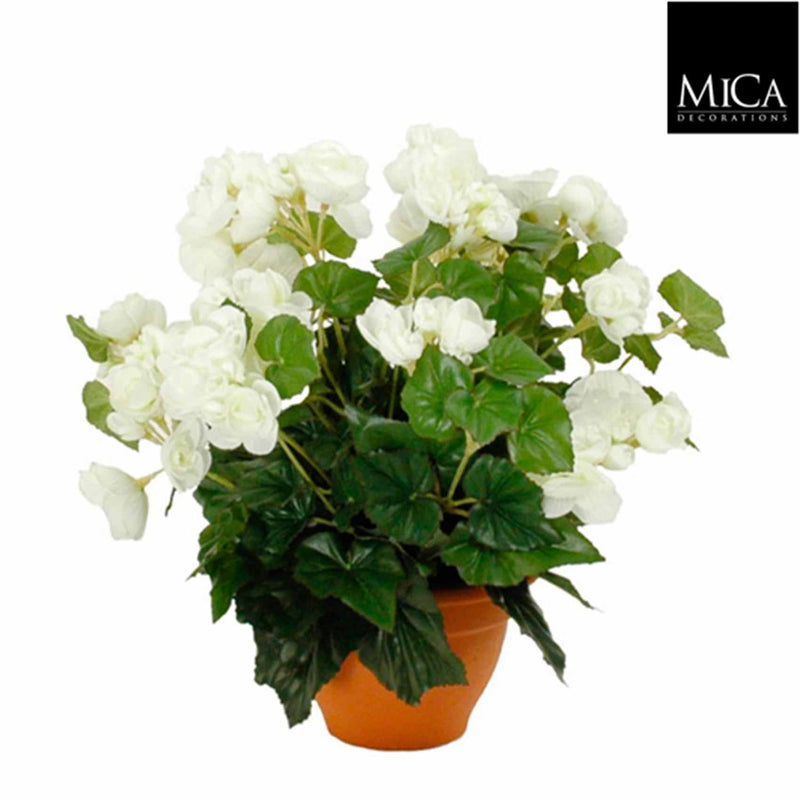 Mica Decorations begonia maat in cm: 37 x 35 wit in pot - WIT