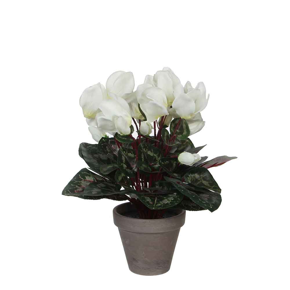 Mica Decorations cyclamen wit in pot stan grijs (dia 11) 30x30