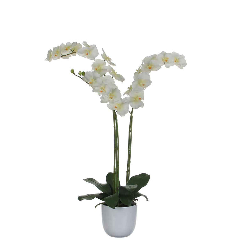 Mica Decorations Phalaenopsis Kunstplant in Pot - 65x45x72 cm - Wit