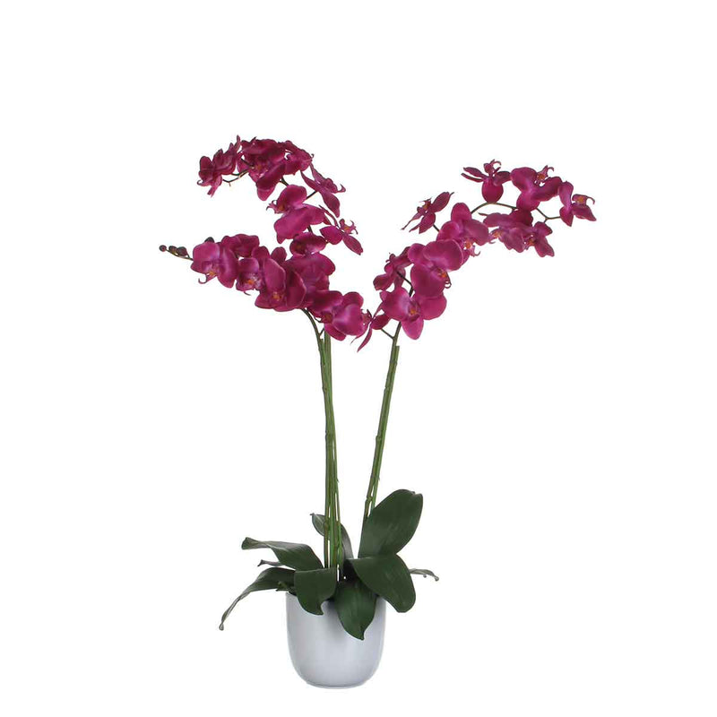 Mica Decorations phalaenopsis paars in pot tusca wit d14,5 - 100x53