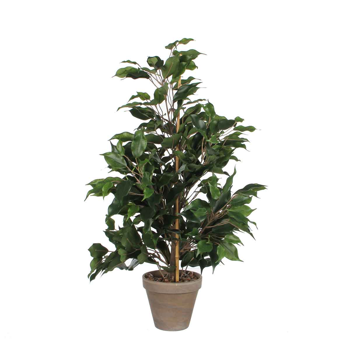 Mica Decorations Ficus Exotica Kunstplant - H65xØ 40 cm - Groen