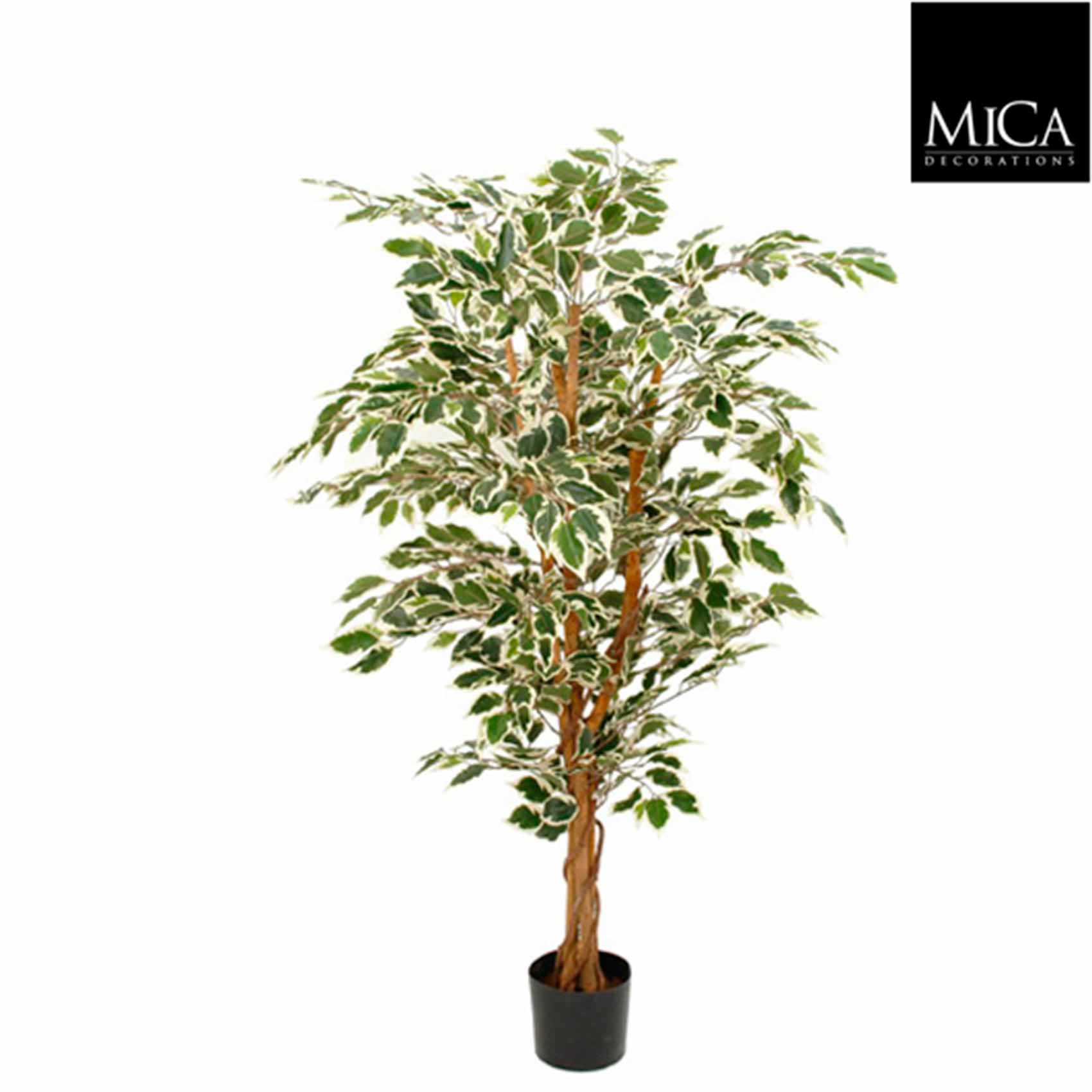 Mica Decorations ficus hawaii - 135x75 groen bont in plastic pot
