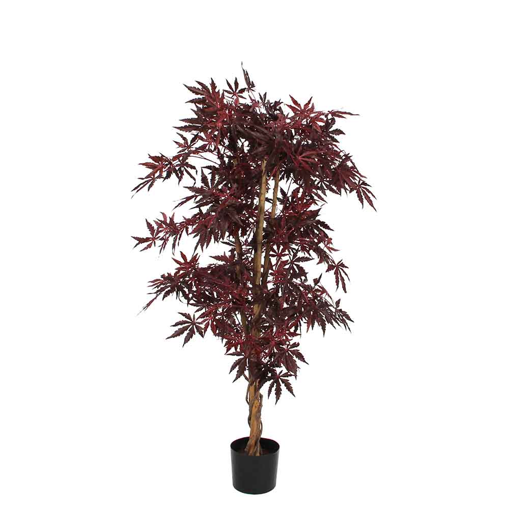 Mica Decorations esdoorn rood in plastic pot maat in cm: 140 x 80