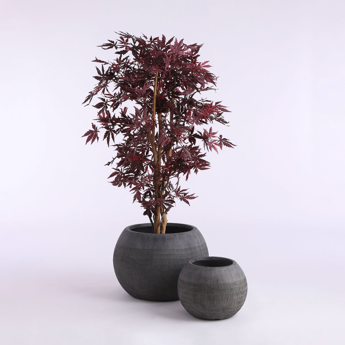 Mica Decorations esdoorn rood in plastic pot maat in cm: 140 x 80