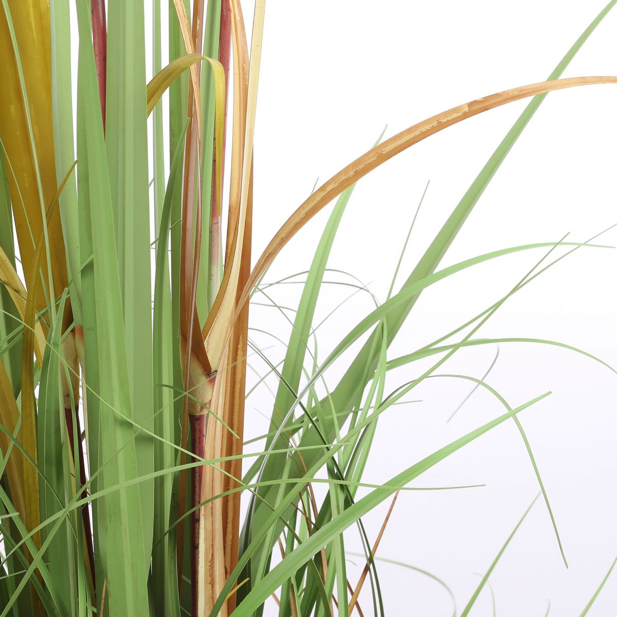 Mica Decorations Pluimgras Foxtail Kunstplant - H120 x Ø45 cm